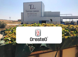 Bodega TIERRAS LLANAS. ORESTEO. Control de vinificación